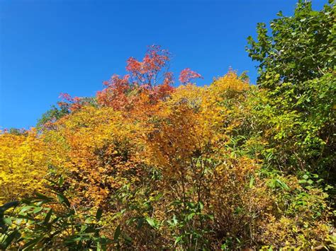 On The Roof of Hokkaido, Japan's First Autumn Colors | JAPAN Forward