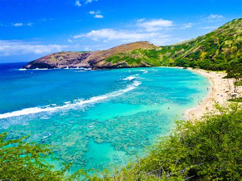 All of Oahu in One Day Tour - Hawaii Discount