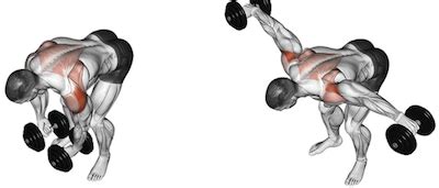 The Dumbbell Rear Delt Fly 101 | How to Train Your Rear Deltoids!