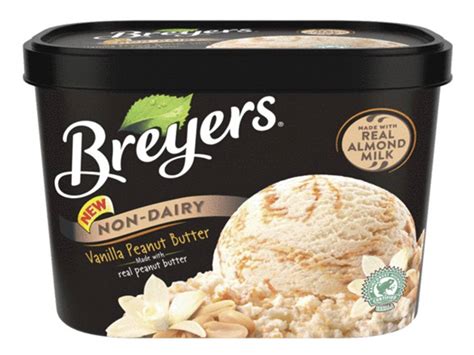 The 21 Best Non-Dairy Vegan Ice Cream Brands