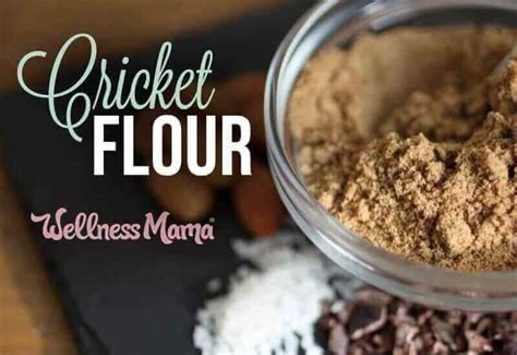 Cricket Flour: A Healthier High Protein Flour (Would You Try It?)