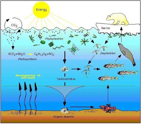 Climate Impacts on Ecosystems | Climate Change Impacts | US EPA