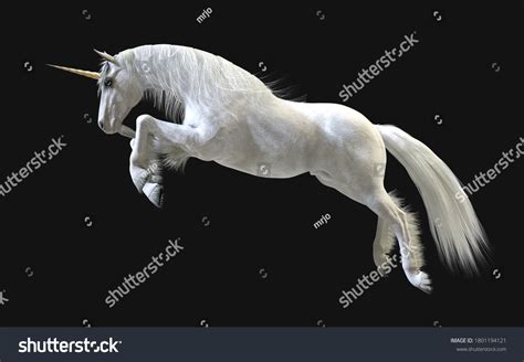 Horse white unicorn Images, Stock Photos & Vectors | Shutterstock