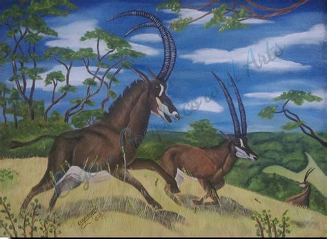 The Giant Sable Antelope – ArtExpress