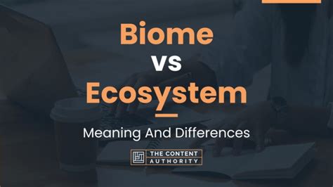 Biome vs Ecosystem: Meaning And Differences