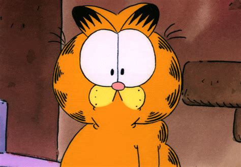 Cat What GIF by Garfield - Find & Share on GIPHY