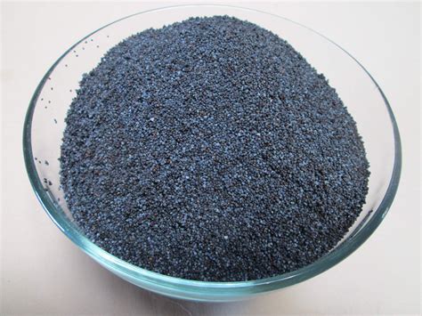 Natural Raw Blue Poppy Seeds, 1 lb — Fruits Star