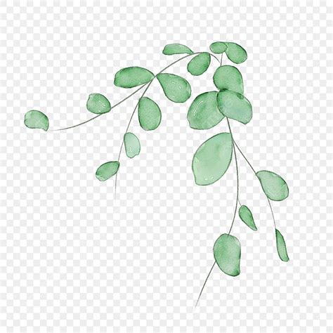 Vine Leaves PNG Transparent, Watercolor Spring Plant Leaves Vine, Watercolor Spring Plant Leaf ...