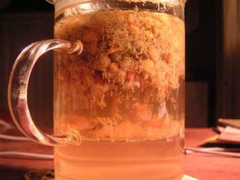 Drink Chamomile Tea for Better Sleep - Your Tea Headquarters