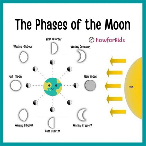 The Phases of the Moon for Kids – HowForKids