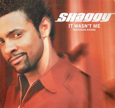 Shaggy Featuring Rikrok* - It Wasn't Me (2001, Vinyl) | Discogs