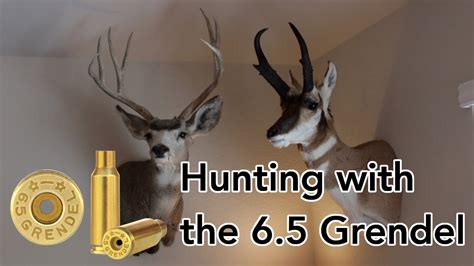 Hunting With The 6.5 Grendel - YouTube