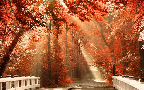 Fall Nature Desktop Wallpapers - Top Free Fall Nature Desktop Backgrounds - WallpaperAccess