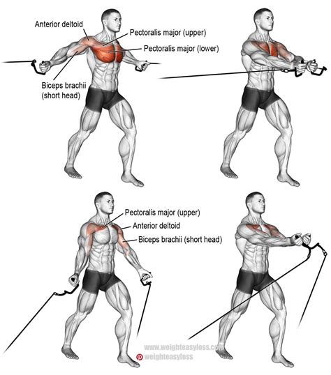 CHEST CABLE FLYES | Cable workout, Best chest workout, Chest workouts