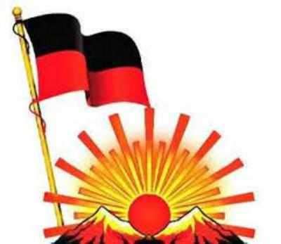 Tamil Nadu assembly election 2021: Highest number of candidates to contest on DMK symbol since ...