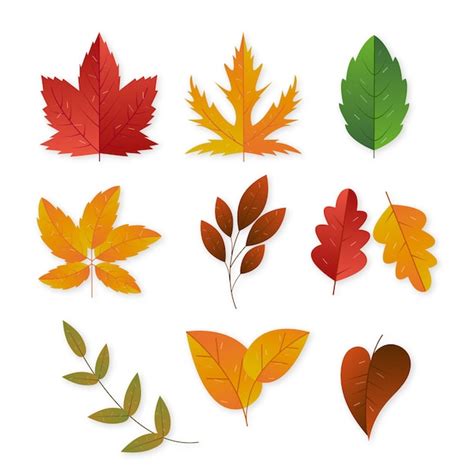 Clipart Leaves Free