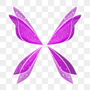 Purple Fairy Wings Costume