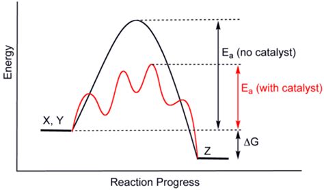 Difference Between Homogeneous and Heterogeneous Catalyst | Compare the Difference Between ...