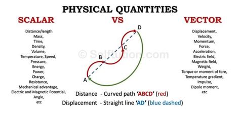 Scalar and Vector Quantities |Differences & Examples » Selftution