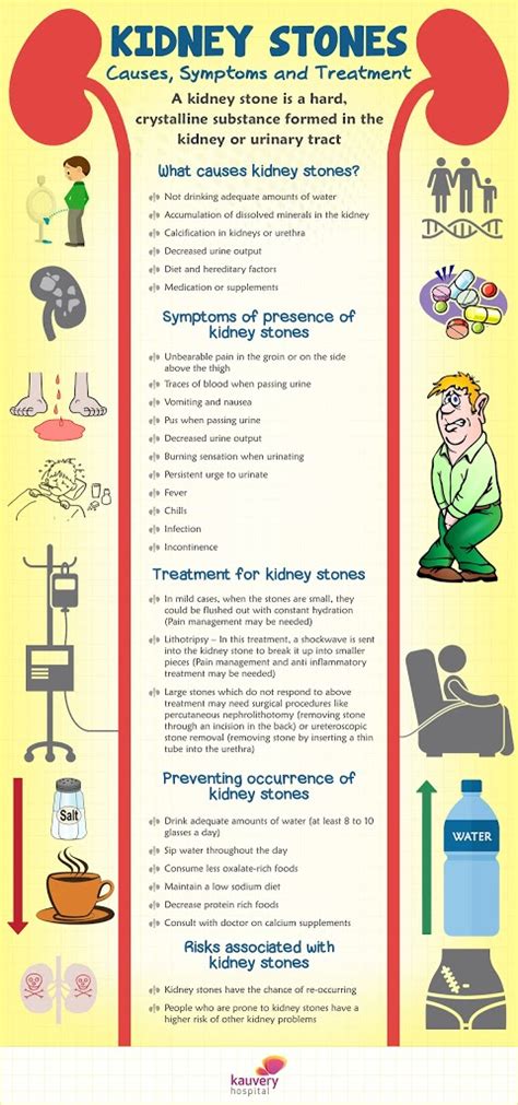 Kidney Stones – Causes, Symptoms and Treatment – Infographic | Kauvery ...