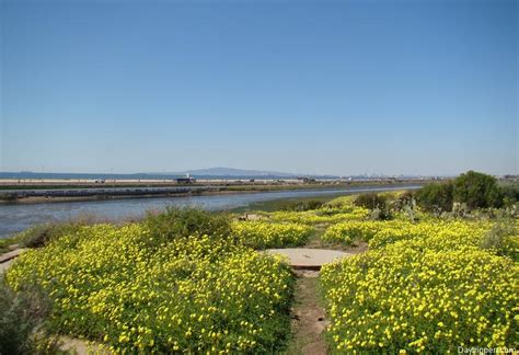 Bolsa Chica Wetlands Huntington Beach Orange County Day Trip