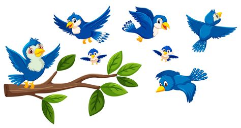 Tree branch and birds collection 606062 Vector Art at Vecteezy