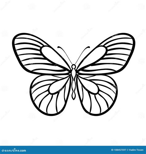 Butterfly Black and White Vector Stock Vector - Illustration of ...