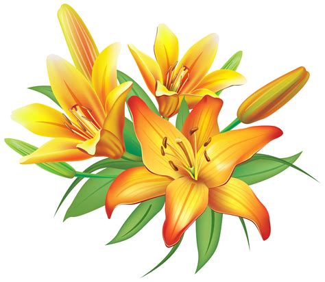 Free clip art lily flowers