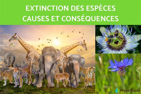 EXTINCTION des ESPÈCES : CAUSES et CONSÉQUENCES