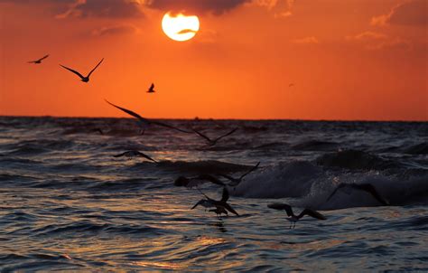 Beautiful sunset in Gaza – Middle East Monitor