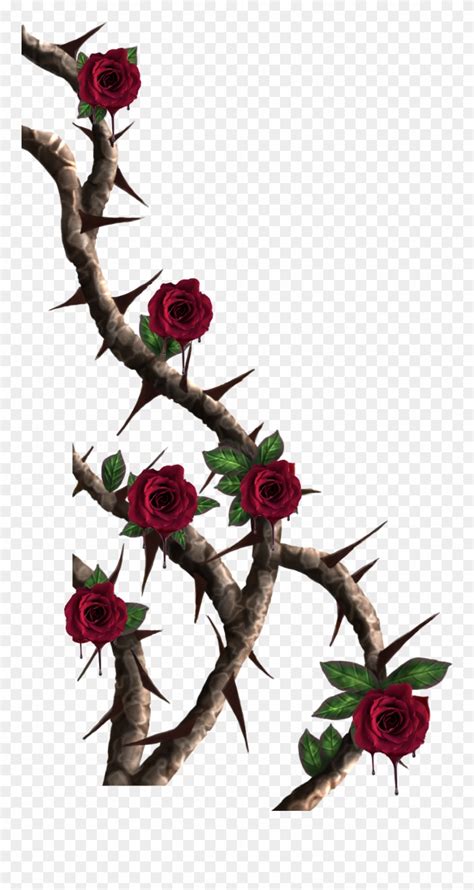 Download Vines Roses Vine Red - Rose Thorns Png Clipart (#4053334 ...