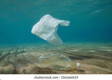 Plastic Ocean Pollution Underwater Plastic Bag Stock Photo 1561666519 | Shutterstock