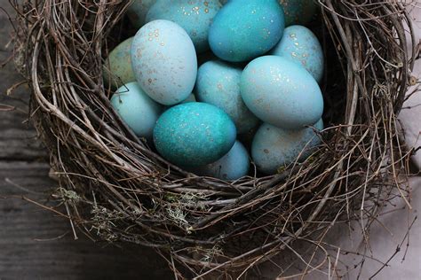 DIY Dyed Robin Eggs – HonestlyYUM