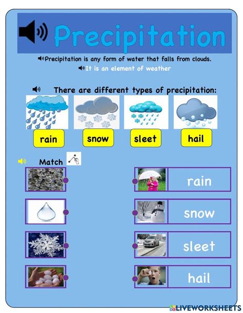 Precipitation exercise | Live Worksheets - Worksheets Library