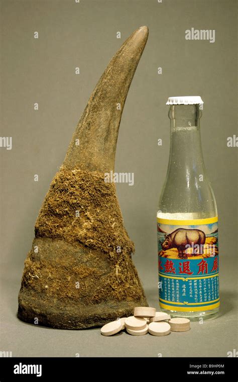 Rhinoceros horn, pills and drink made from the same Stock Photo - Alamy