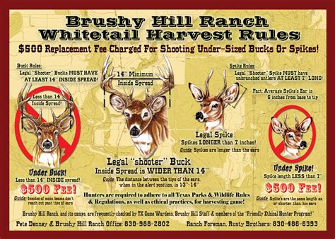 Brushy Hill Ranch - South Texas' Best Day Lease Bowhunting Ranch ...