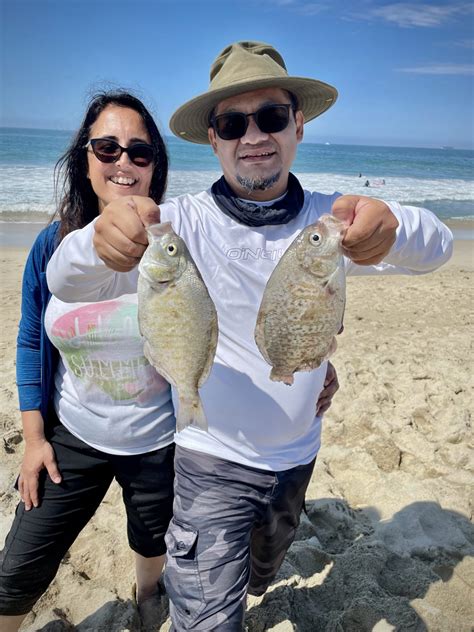 Surf fishing – 5 tips to catch more surfperch on the West Coast this ...