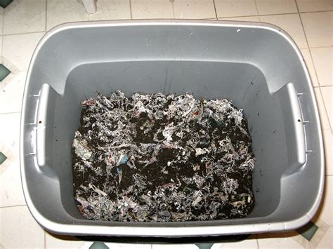 Make an Indoor Worm Compost