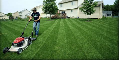 What Lawn Mower Best For Striping? 7 Best Lawn Mowers For Stripes ...