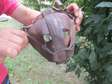 Vintage Leather Dog Muzzle, Dark Brown Leather Dog Muzzle, Dog's ...