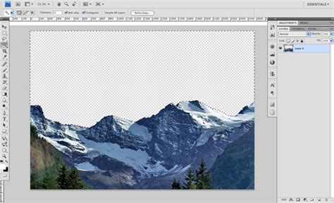 Create A Nature Inspired Digital Illustration in Photoshop | PSDFan