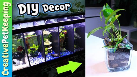 Diy Betta Tank Decorations | Shelly Lighting