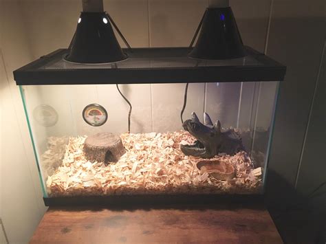 Corn Snake Habitat Set-Up Help : r/snakes