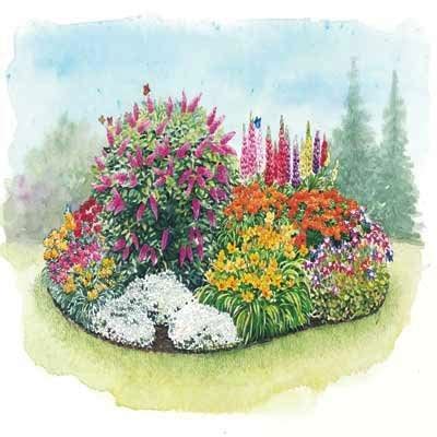 Best Butterfly Garden Kit