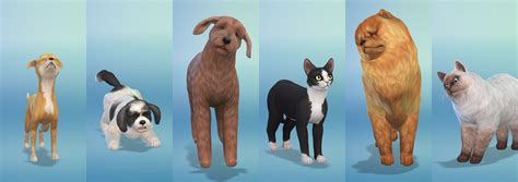 Breeds in The Sims 4 Cats and Dogs - Sims Online