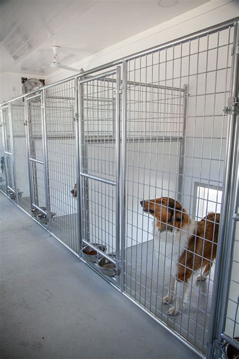 Inside Dog Kennels