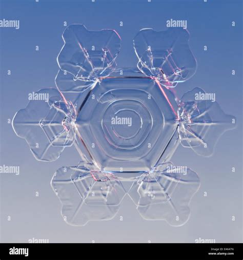 Snowflake magnified under microscope, Lilehammer, Norway Stock Photo - Alamy