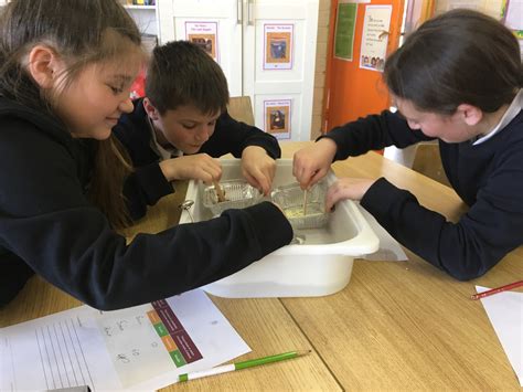 Melting Chocolate Experiment – STEM Fourth Class « St. Peter's Primary Bray Blog