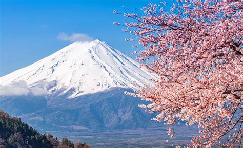 Exploring Mount Fuji: A Visitor's Guide | PlanetWare