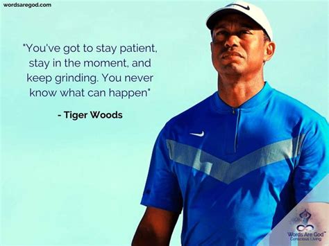 Tiger Woods Quotes | Into the woods quotes, Rare quote, Quotes